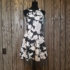 Size Medium Trixxi Clothing Company dress